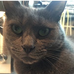 Meet your Posher, Terri